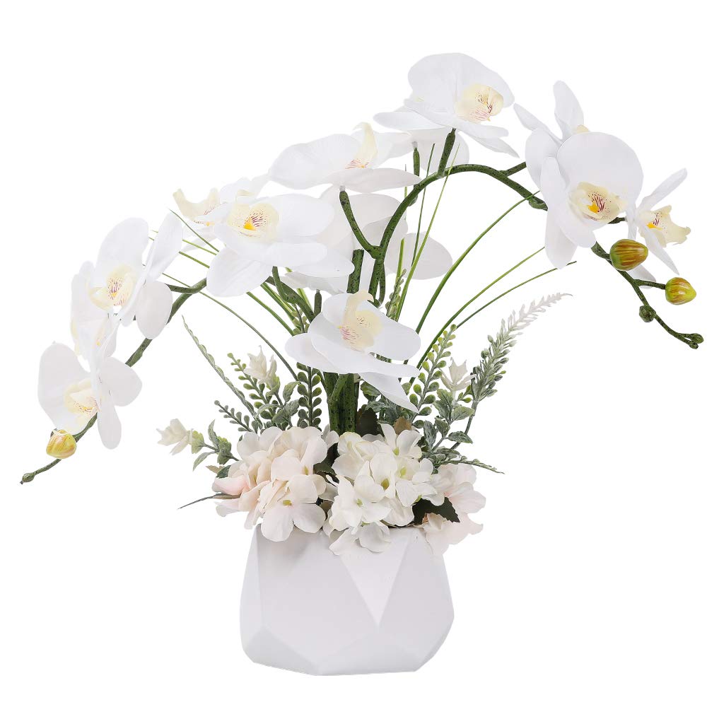 Photo 1 of LESING Artificial Potted Orchid Flower for Table Centerpieces,Real Touch White Fake Orchid Flowers in Vase for Home Decoration ?(Style 2,White Vase)