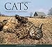 Cats of Martha's Vineyard by Lynn Christoffers