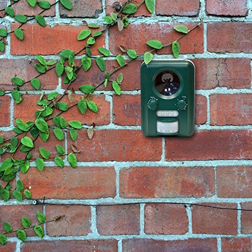 Plaga Ultrasónico Ahuyentador, Inalámbrico Solar Cargado, Interior ...