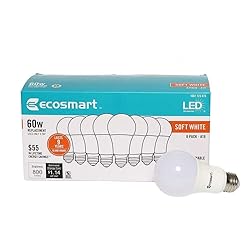 EcoSmart 9.7 Watt (60W Equivalent) Soft White A19
