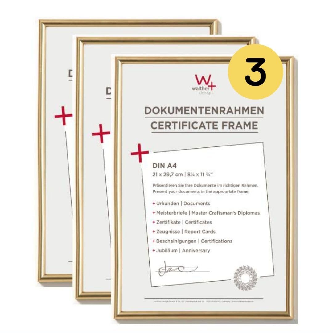 walther Design Picture Frame Gold 21 x 29,7 cm (DIN A4) 3-Pack, Galeria Plastic Frame KG130H3
