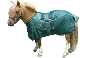 Intrepid International Miniature Horse Turnout Blanket, Waterproof Mini Horse Blanket w/Belly Band & Two Elastic Surcingle, Shoulder Gussets, Tail Guard, 420D 190g Poly Fill