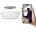WNAT Smoke Detector Camera - Security Indoor Camera Mini 200 Days Standby 1080P WiFi HD Night Vision PIR Motion Detection Wireless Small Nanny Cam