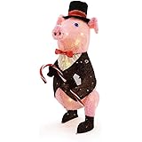 Amazon.com  CUTE CHRISTMAS LIGHTED PIG HOLDING A HOLIDAY TREE
