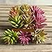 Supla 9 Pcs faux succulents unpotted Vinyl Artificial Succulent Galanthus Cactus Plants Artificial Plants 3 Colors fake succulents Flower Arrangement Craft Making