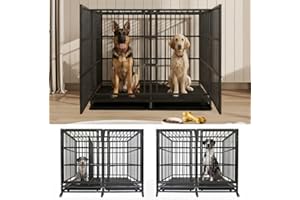 KOKOTANGS 54 Inch Heavy Duty Dog Crate Cage with Divider, Indestructible and Escape Proof Steel Kennel Indoor for 2 High Anxiety Dogs with Sturdy Locks, Double Door and Tray, Extra Large XL XXL