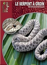 Le  serpent à groin