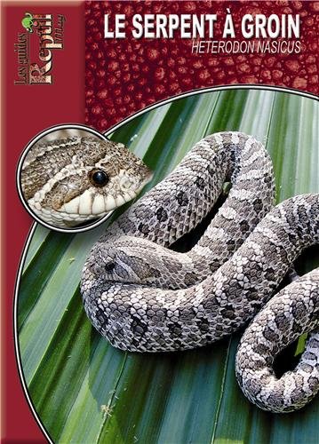Le  serpent à groin