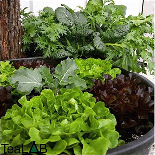Compost Tea Recipe - LiFeCuBe - Soil Builder in a Box! 1 Cubic Foot of High Grade Compost