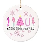 Decorlion 2025 Christmas Ornament - Sending Christmas Vibes Ceramic Ornament, Funny Christmas Ornaments, Naughty Ornaments for Adults, Hilarious for Adults