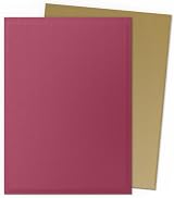 Dragon Shield Matte Dual Standard Size Card Sleeves 100 ct Red/Gold view 3