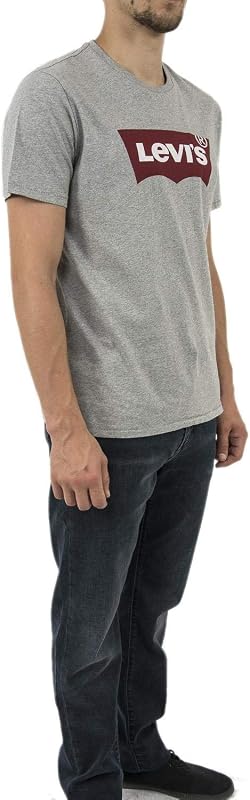 Herren Graphic Set-In Neck T-Shirt, Batwing Logo, Grey, M