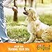 Wellness TruFood CocoChia Bakes Natural Grain Free Dog Treats, Lamb, Purple Carrot and Coconut Oil Recipe, 5-Ounce Bag