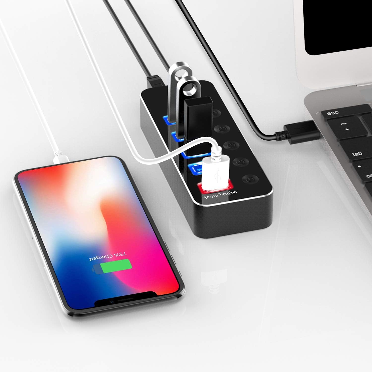 Powered USB Hub, atolla Aluminum 5-Port USB 3.0 Hub with 4 USB 3.0 Data Ports and 1 USB Smart Charging Port, USB Splitter with 5V/3A Power Adapter and Individual Switches: Computers & Accessories