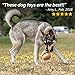 Livin' Well Dog Toys and Puppy Toys - 11 Piece Value Dog Toy Variety Pack with Dog Chew Toys and Teething Toys