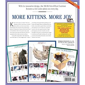 The 365 Kittens-A-Year Wall Calendar 2017