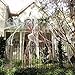 Halloween Spider Webs Stretchable (400 Square Feet) Extra Large | Indoor & Outdoor Spooky Cobwebs with 28 Fake Black Spiders Halloween Decorations