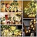 Kohree String Lights LED Copper Wire Fairy Christmas Tree Light with Remote Control, 33ft/10M 100LEDs, AA Battery Powered, Twinkle Lights for Holiday, Wedding, Parties, Pack of 2