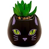Toynk Disney Hocus Pocus Binx is My Boo 3-Inch Ceramic Mini Planter with Artificial Succulent | Small Flower Pot for Crafts, Faux Indoor Plants for Desk Shelf, Home Decor Trinket Tray