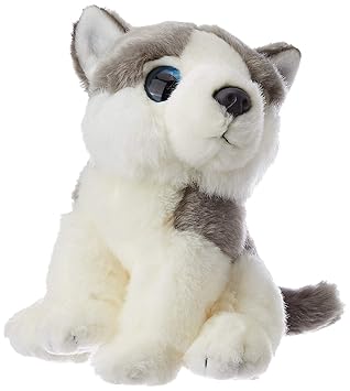 E-Chariot Soft Toys Wild Watchers Husky Dog Plush Stuffed Animal Cuddlekins by Wild Republic (88802) 7 Inches