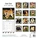 Chow Chow Calendar - Breed Specific Chow Chow Calendar - 2015 Wall calendars - Dog Calendars - Monthly Wall Calendar by Avonside