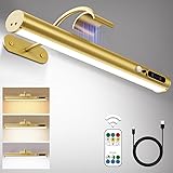 Hapfish Motion Sensor Battery Operated Wall