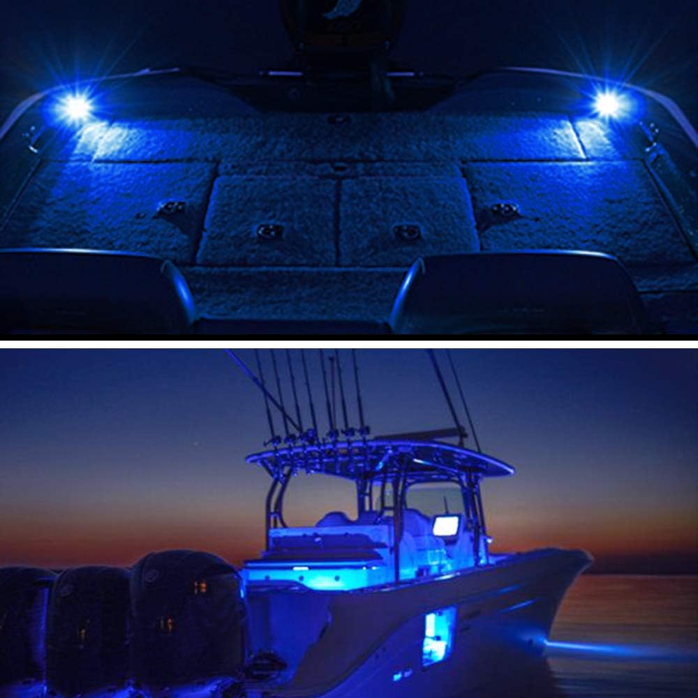 MNJ MOTOR 6pcs Marine Boat Fishing Lights, 12V Waterproof Utility Led Interior Light - Boat Deck Courtesy Transom Cockpit Light For Yacht Fishing Pontoon Boat Sailboat Kayak Bass Boat Vessel-Blue: Automotive