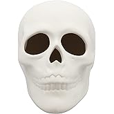 Ready to Paint Ceramic Bisque Skull, 5 in L x 4 in H, Halloween Craft Activity, Includes How to Paint Your Own Pottery Booklet