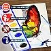 38 Bulk Water Color Oval Paints - 24 Sets and 14 Refills - Jumbo Pack - Washable