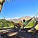 Unigear Double Camping Hammock, Portable Parachute Nylon Hammock with Tree Straps for Backpacking, Camping, Hiking, Travel, Beach and Yard (Oliver Green/Army Green, 320cm x 200cm)