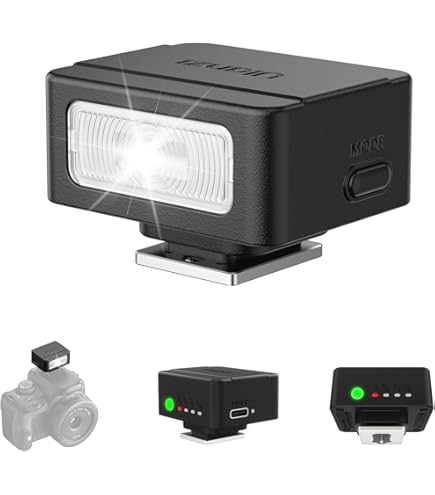 Amazon.com : Canon VL-5 Video Light for Mini Advanced Accessory