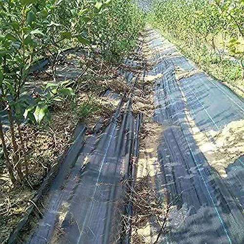 HOOPLE 4 X 50 Ft Weed Barrier Fabric, PP Material, Premium Garden