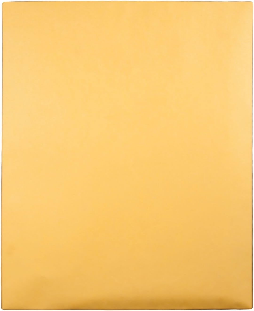 Quality Park, Jumbo Kraft Envelopes, Ungummed, Brown Kraft, 14x18, 25 per Box (42354) : Envelope Mailers : Office Products