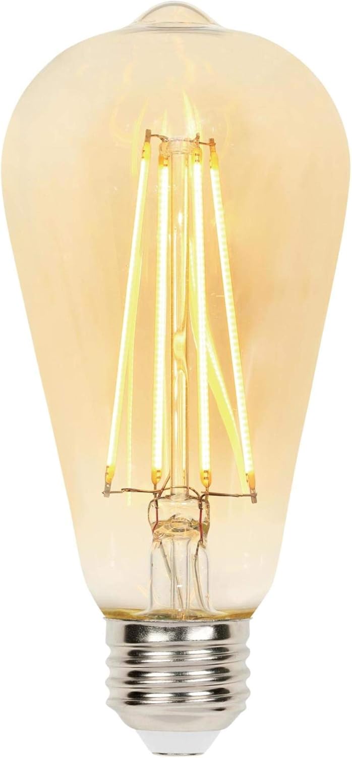 Westinghouse Lighting 4317800 6.5 (60-Watt Equivalent) ST20 Dimmable Amber Filament, Medium Base LED Light Bulbs