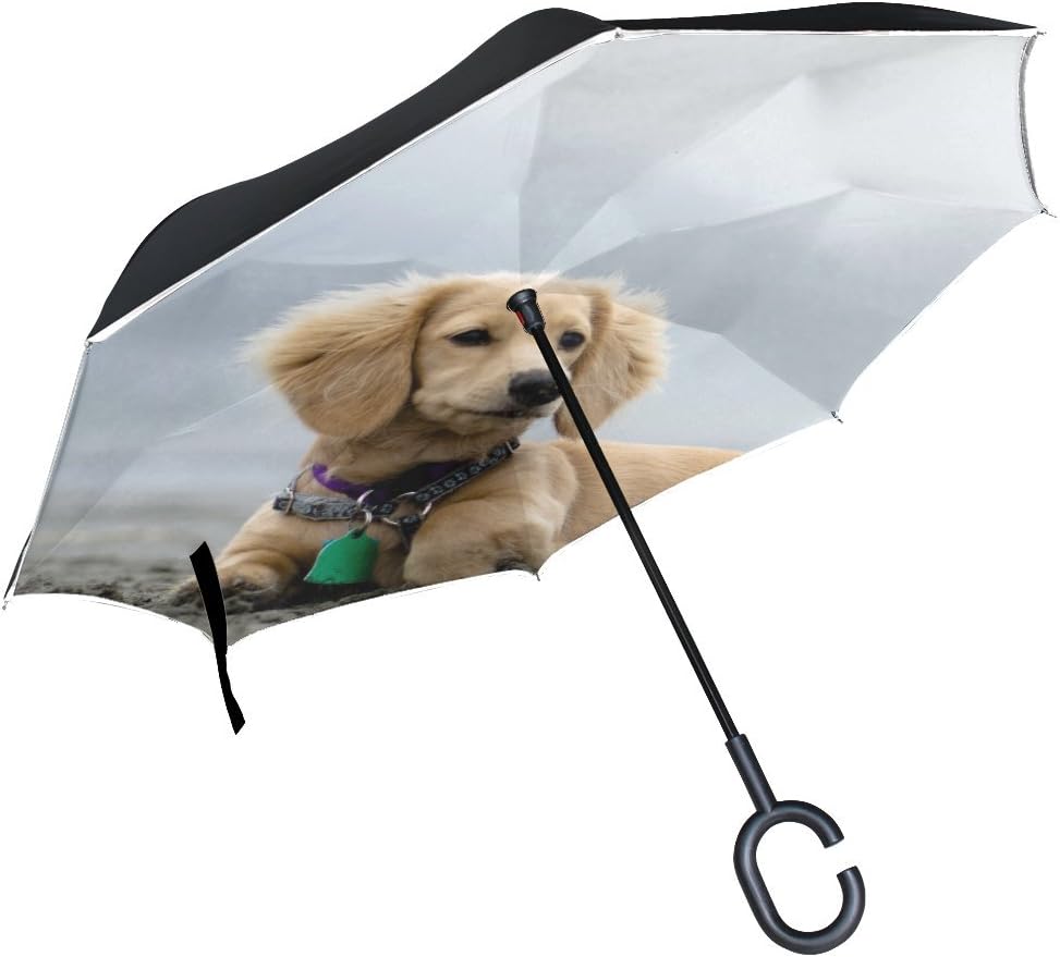 dog umbrella for sun