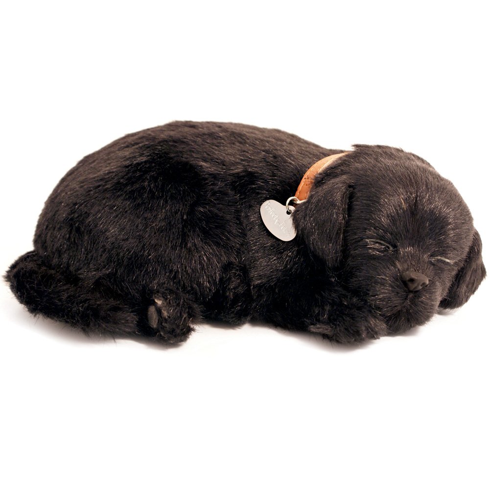 Amazon.com: Perfect Petzzz Black Lab 