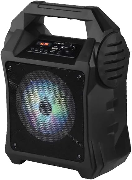 speaker with mic input