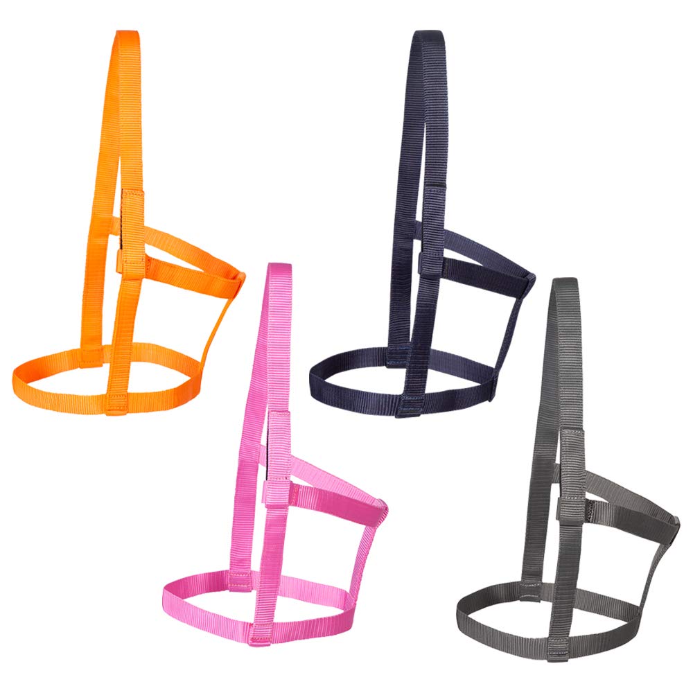 PFIFF 102920 Joky Willow Paddock Headcollar Without Fittings Nylon Blue Shetty