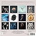 More Than Human: The Photography Of Tim Flach 2018 Wall Calendar (CA0147)