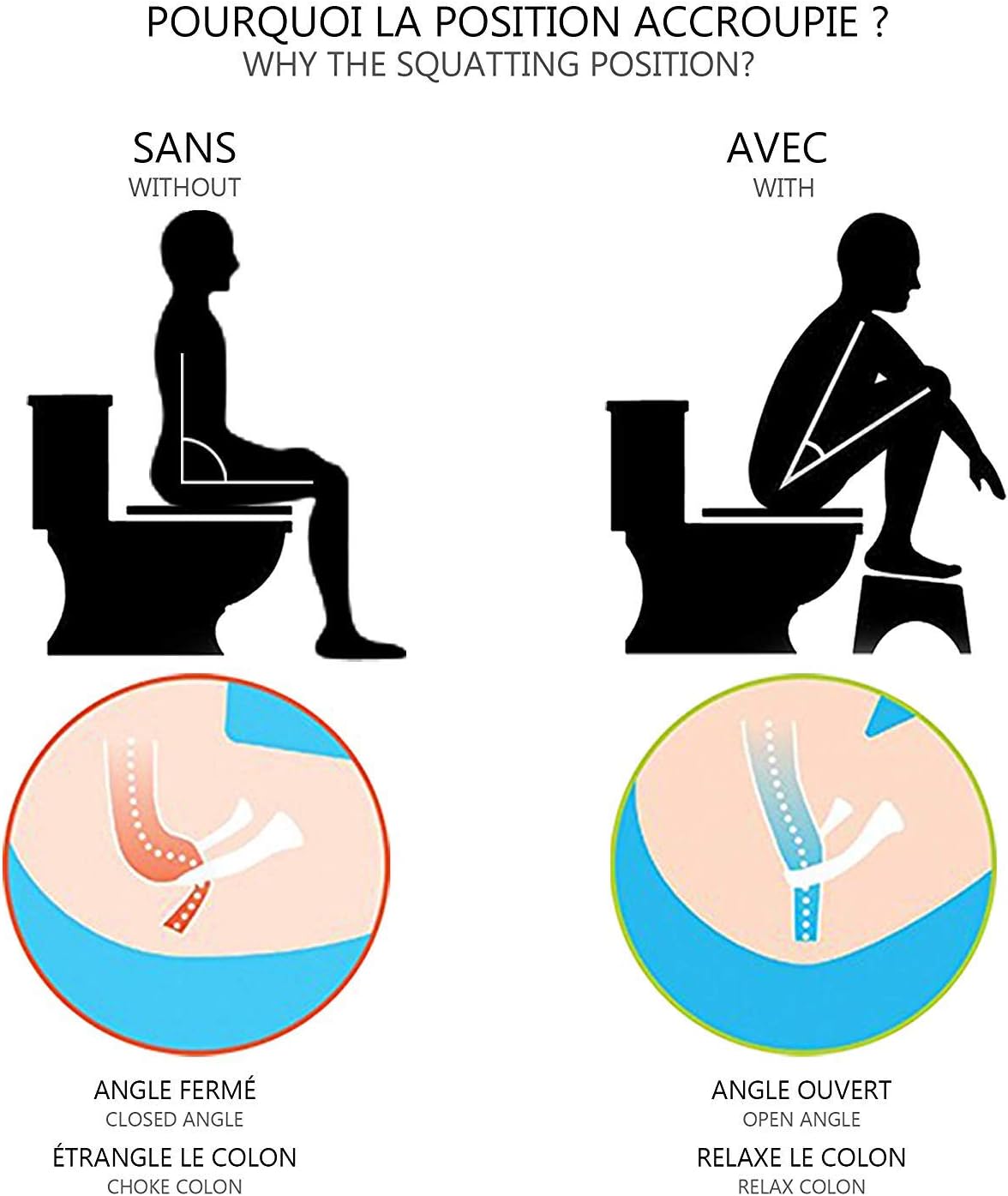 Toilet Steps Squatting Stool Foldable Toilet Stool Convenient and Compact for Bathroom Home (1PCS): Health & Personal Care