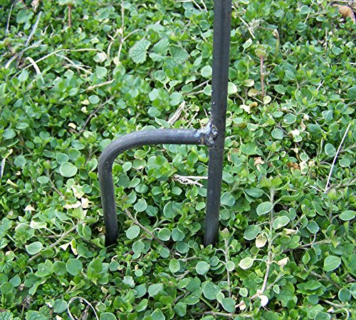 Crow garden stake - Rusted metal bird art - Raven flowerbed marker - Outdoor living accent - Crowing bird maker - Rustic steel crow