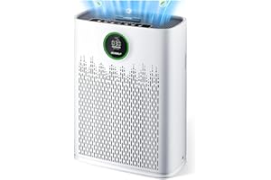 ECOSELF Air Purifiers for Home Large Room, Cover Up to 2400 Ft² with True HEPA Filter, Smart Mode, PM2.5 Air Quality Display, 22dB Sleep Mode, Aromatherapy with 2X-Purification & 360°Air Outlet, HAP603, White