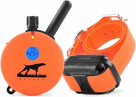 best e collar for duck hunting 2018