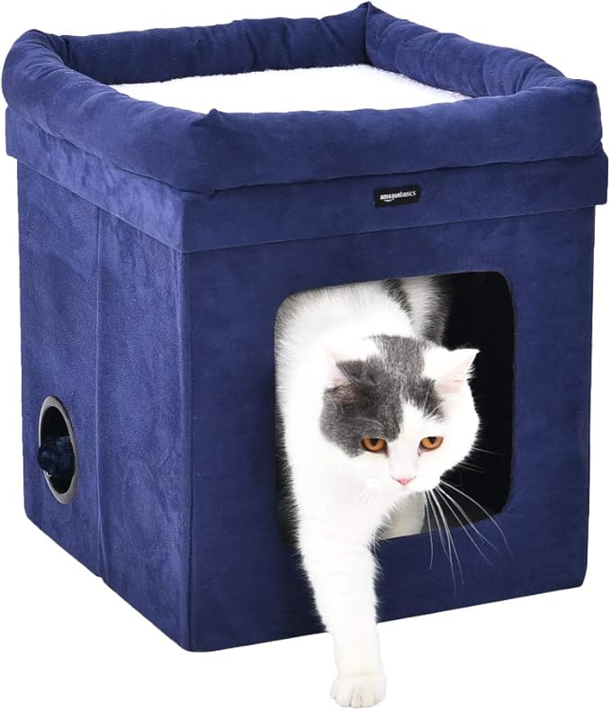 kitten beds amazon