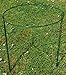 2-Pack Half Round Garden Plant Support Ring Hoop, 7.9
