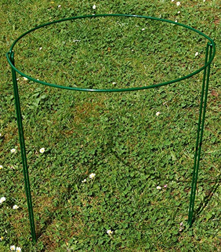 cozyou 2-Pack Half Round Garden Plant Support Ring Hoop, 7.9" Wide x 13.8" High - Thumbnail 2