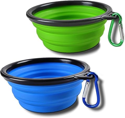 german pinscher breed