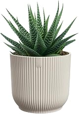 elho Vibes Fold Round Mini Pot 11.1x10.5 cm White Linen White view 8