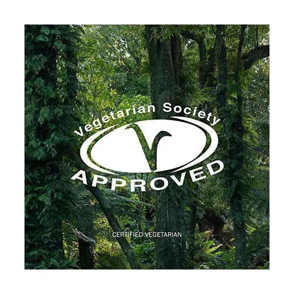 Vanilla-Pod-Hydrating-Day-Cream--Anti-Aging-Face-Moisturiser-For-Dry-Skin--with-Rosehip-Oil-Avocado-Oil-Antioxidant-Skincare-Ingredients--Dry-Skin-Normal-Skin--60ml Antipodes Vanilla Pod Hydrating Day Cream 60ml