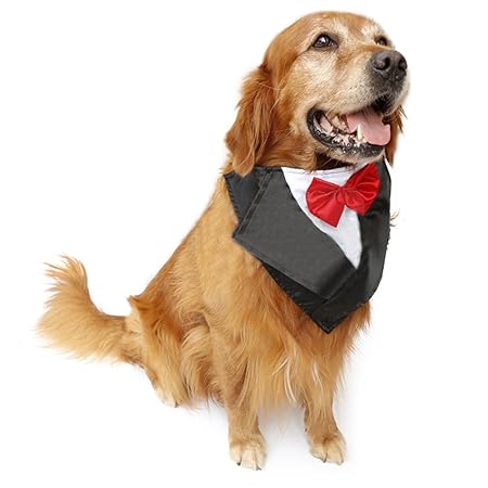 DELIFUR Hochzeit Tuxedo Gro?er Hund Bandana Schal Verstellbare Katze Kragen Halstuch Pet Dress-up Kleidung f¨¹r Hochzeit oder